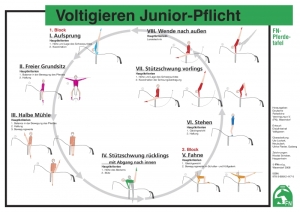 Lehr-/ Pferdetafel (A4) - Voltigieren Junior-Pflicht - Gruppen