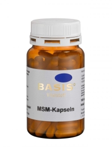 MSM - Kapseln Antioxidant (Größe: 100 Kapseln)