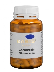 Chondroitin & Glucosamin Kapseln (Größe: 100 Kapseln)