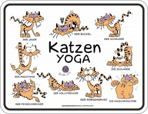 Blechschild Katzen Yoga