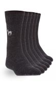 Alpaka Business Socken in dunkelgrau (Größe: Größe 39 - 41)